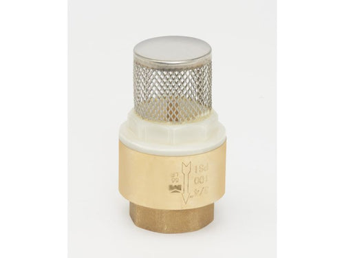 B&K Industries Brass 3/4-in FIP Foot Valve - Lead-Free