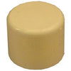 CPVC Pipe Cap, 0.5-In.