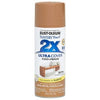 Painter's Touch 2X Spray Paint, Satin Warm Carmel, 12-oz.