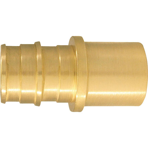 Conbraco 3/4 In. x 3/4 In. Brass Insert Fitting MSWT Adapter Type A