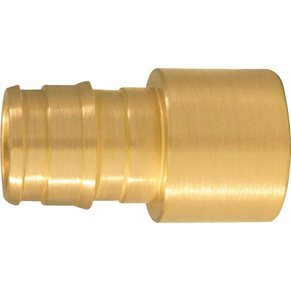 Conbraco 1/2 In. x 1/2 In. Brass Insert Fitting FSWT Adapter Type A