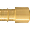 Conbraco 3/4 In. x 3/4 In. Brass Insert Fitting FSWT Adapter Type A