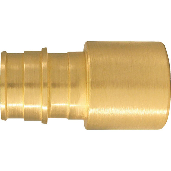 Conbraco 3/4 In. x 3/4 In. Brass Insert Fitting FSWT Adapter Type A