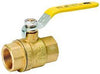 B & K Industries Series 7690T Brass Ball Valve 3/4